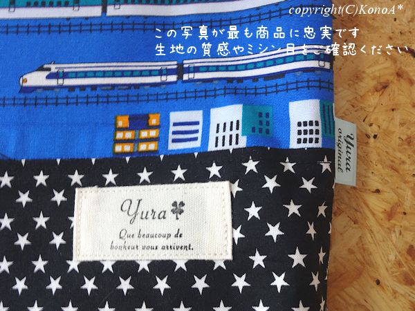 スター新幹線ブルー：レッスンバック